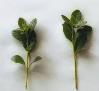 鄭州家裝公司